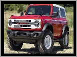 Ford Bronco Heritage