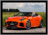 Pomarańczowy, Jaguar F-Type SVR